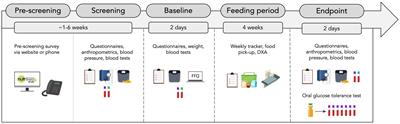 The nutrition and immunity (nutrIMM) study: protocol for a non-randomized, four-arm parallel-group, controlled feeding trial investigating immune function in obesity and type 2 diabetes